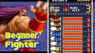 Game Over: Real Bout Fatal Fury - Special