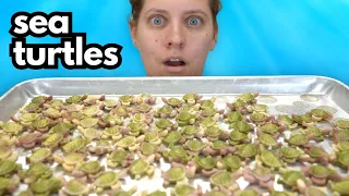 We made over 600 soap turtles for this...