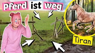 Mein Pferd ist weg 😢 Tiran ist ausgebrochen | ViktoriaSarina