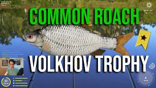 Common Roach Trophy Hot Spot at Volkhov River - Russian Fishing 4