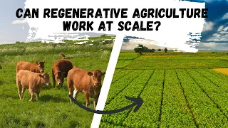 Can Regenerative Agriculture Work Large Scale? and Should It?