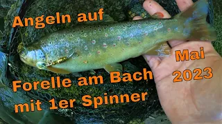 Bachforelle angeln mit 1er Spinner am Bach | Tipps
