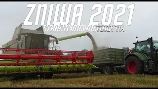 Żniwa z Claasą fendt 714 claas lexion 7400  koszenie pszenżyta 2021