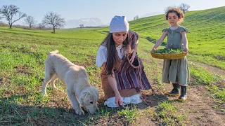 Harvesting Spring Herbs from the Mountains and Cooking 3 Different Dishes in the New Wood Oven!