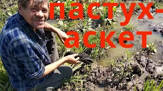 пастух-аскет или жажда не тетка