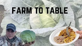 Cabbage & Pork Jambalaya (Farm to Table)