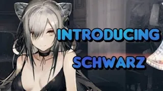 Schwarz Operator Overview - SHE DEALS SO MUCH DAMAGE