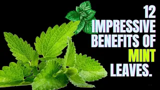12 Impressive Benefits Of Mint Leaves