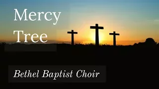 Mercy Tree - Choir