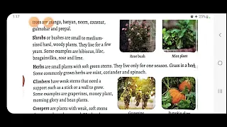 Plants around us (Bumblebee-collins), class 3 , chapter 2 ,  EVS