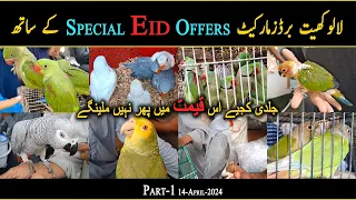 Lalukhet Birds Market 2024 Latest Update with Special Eid Offers 14-April Part-1| Danish Ahmed Vlogs