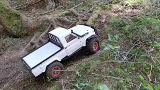 Amewi AMXROCK RCX10 vsTraxxas Trx4