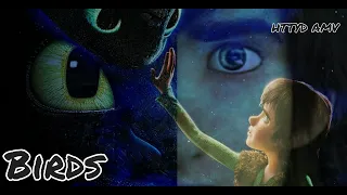 BIRDS Imagine Dragons HTTYD AMV