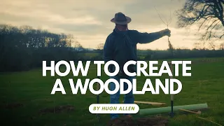 How to create a woodland