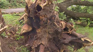 Live: Storm damage in Navarro County, Texas