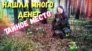 Таинственный лес с находкам. Нашла много денег в лесу. Находки в лесу Поиск монет с металлоискателем