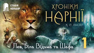 Клайв Льюіс "Хроніки Нарнії" розділ 1 #аудіокнигиукраїнською #audiobook #книги #нарнія