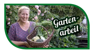 Gartenarbeit im Juni und ein kleiner Gartenrundgang | Erste Aussaaten für den Herbst