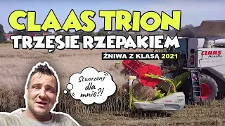 CLAAS TRION TRZĘSIE RZEPAKIEM ! (ŻNIWA Z KLASĄ 2021)