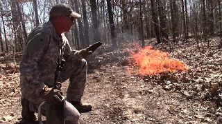 Prescribed Fire Prior To Timber Stand Improvement on 17 Acres