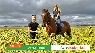 Videorubriką Ūkininkauja ir moterys kurianti Donata: gamta ir žirgai paviliojo likti kaime
