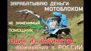 ВЫЖИТЬ В РОССИИ И НЕ СДОХНУТЬ, ЗАРАБАТЫВАЮ ДЕНЬГИ МОТОБЛОКОМ КАК ЭТО ВЫГЛЯДИТ