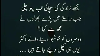 Outstanding Quotes About Zindagi Kay Tajarbe Ka Nichor | Urdu Quotes About Life's Experiences