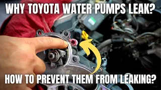 Why Do Toyota Water Pumps Leak? How to Prevent Them From Leaking?