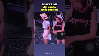 Blackpink đội nón lá nhảy sập sàn #blackpink #bornpink