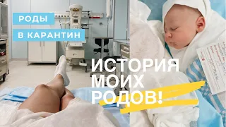 ИСТОРИЯ МОИХ РОДОВ | РОДЫ В ЦЕНТРЕ КУЛАКОВА | РОДЫ В КАРАНТИН