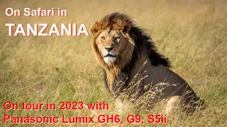 TANZANIA 2023 - My latest African photo safari with Panasonic Lumix GH6, G9 and S5 Mark ii