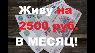 Как я живу на 2500 руб.в месяц .