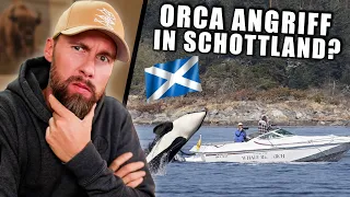 Lebensgefahr für Bootsfahrer? Erster ORCA-ANGRIFF jetzt auch in Schottland | Robert Marc Lehmann