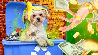 Богатая семья приютила бедных собак с мусорки! Гаджеты для домашних животных!