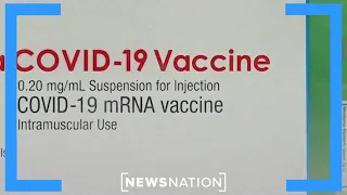 Moderna reports new COVID-19 vaccine to be effective against BA.2.86 | NewsNation Live