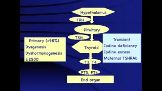 GROW Society Thyroid Module- Congenital Hypothyroidism