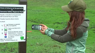 Documenting Fire Recovery at Sonoma Valley Regional Park