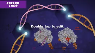 CRISPR Cas9 HD crisprExplained