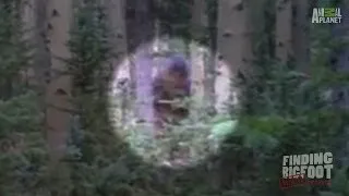 A Nonchalant Sighting in Utah | Finding Bigfoot: Rejected Evidence