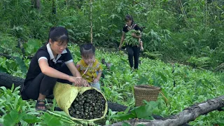 Young mother with her child, Harvesting natural vegetables to sell and raise livestock