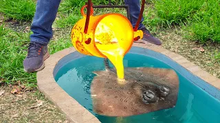 Experiment: Lava vs Giant Stingray Fish in Underground Pool