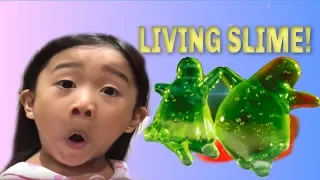 LIVING SLIME! W/ KAYCEE & RACHEL