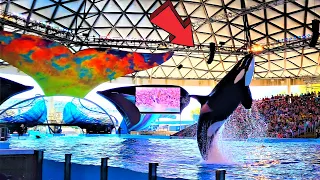 Seaworld San Antonio Orca Encounter Full Show 2022