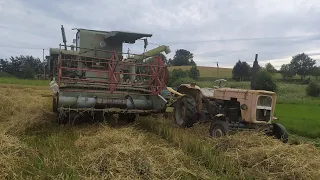 ŻNIWA 2021 - Żyto - Claas Mercur, URSUS C-360