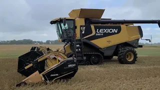 CATERPILLAR LEXION 585R For Sale