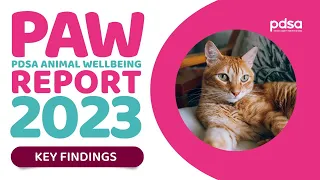 2023 PDSA Animal Wellbeing (PAW) Report | Key findings