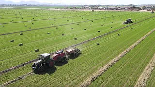 Fendt 714 Pulling Massey Ferguson 1844S