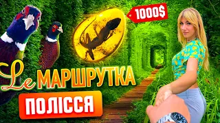 Ле Маршрутка. Полісся