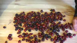 How to brew rosehip