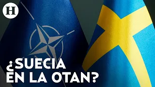Turquía retira veto al ingreso de Suecia a la OTAN; EEUU aplaude decisión